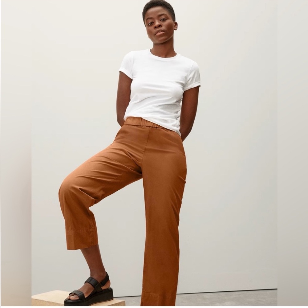 Everlane Women's Rust Easy Pants